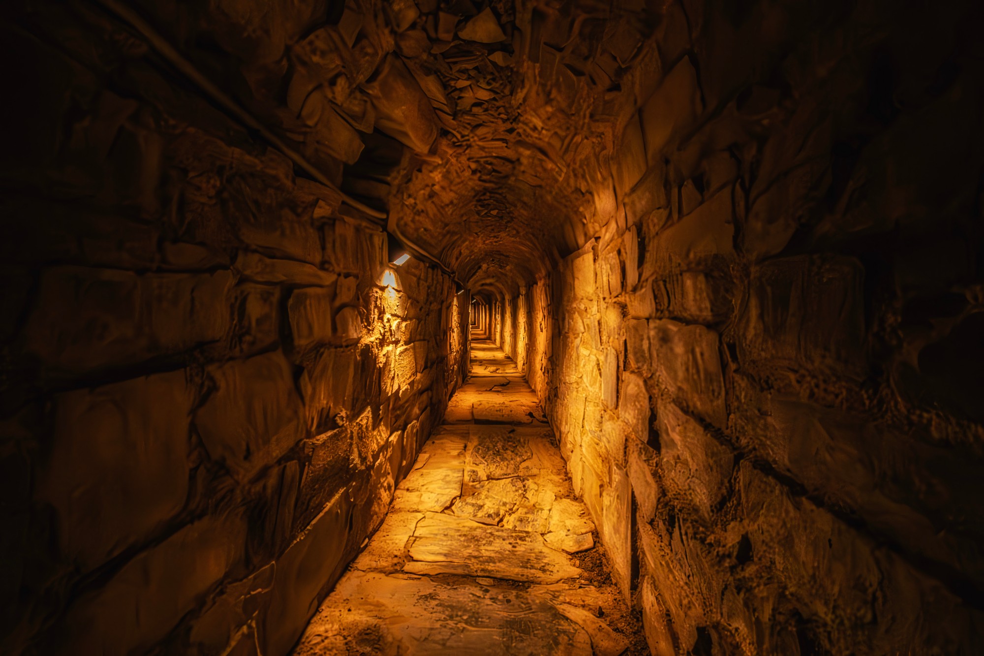 AdobeStock 1284714728