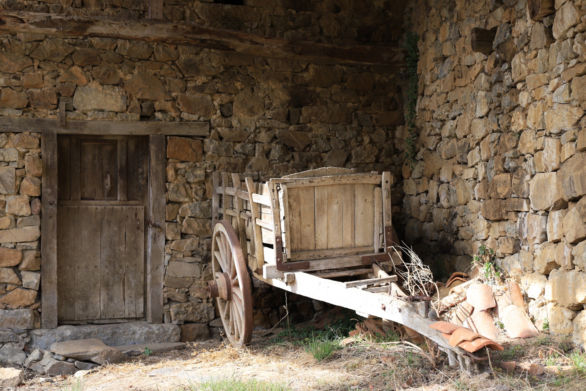 AdobeStock 494486726